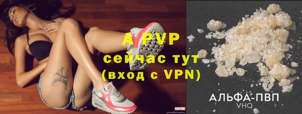 прущие грибы Аркадак