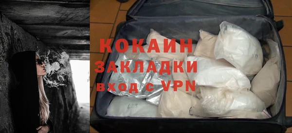 прущие грибы Аркадак