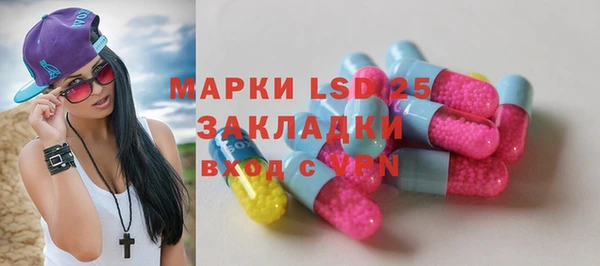 прущие грибы Аркадак