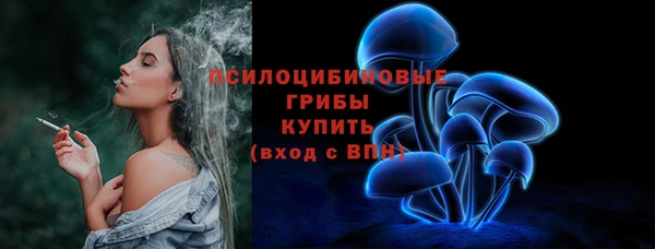 прущие грибы Аркадак