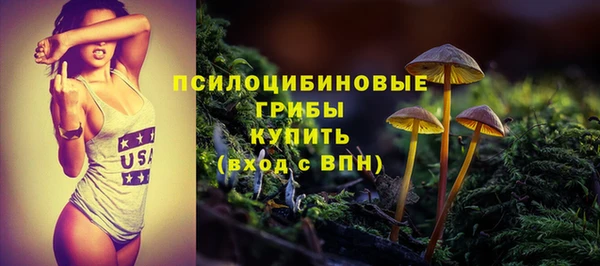 метадон Арсеньев