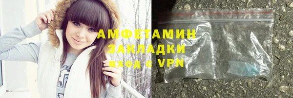 прущие грибы Аркадак
